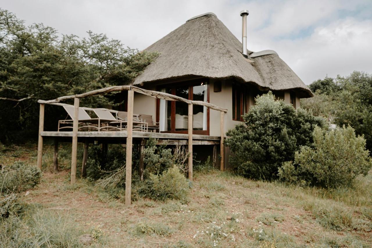 Bukela Game Lodge - Reserva de Amakhala Exterior foto